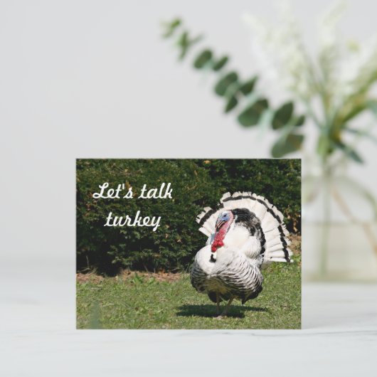 Carte Postale Parlons dinde (Debout devant)