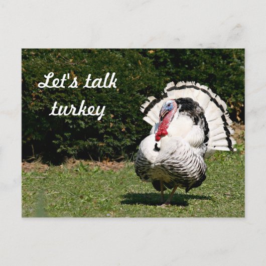 Carte Postale Parlons dinde (Devant)