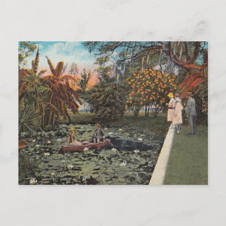 Carte Postale Parmi les lillies et palmiers de Floride