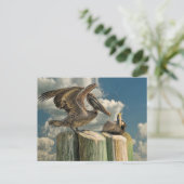 Carte Postale Parodies pélicanes Floride Faune (Debout devant)