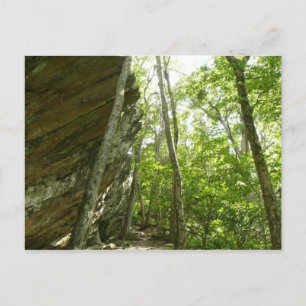 Carte Postale Paroi rocheuse de Frazier dans le parc national de