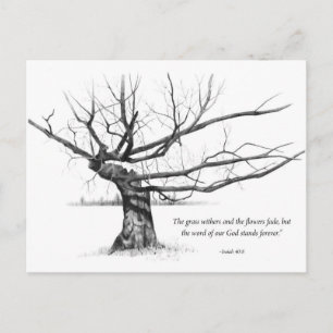 Carte Postale Parole De Dieu Pour Toujours : Arbre nardé au cray
