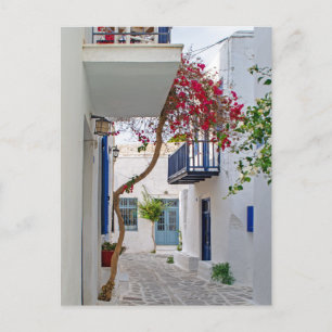 Carte Postale Paros Parikia Allée d'été