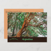 Carte Postale Parque Nacional Los Alerces Chubut Argentine (Devant / Derrière)