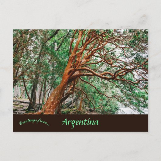 Carte Postale Parque Nacional Los Alerces Chubut Argentine (Devant)