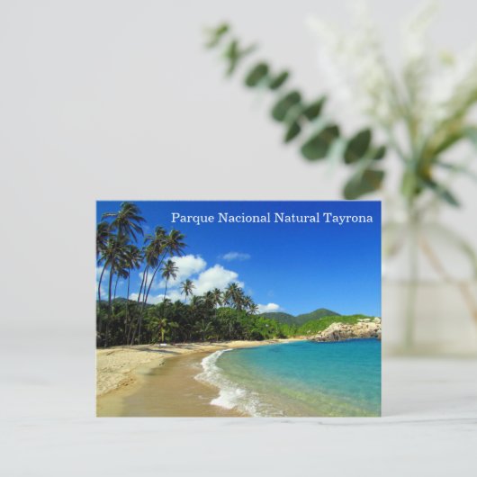 Carte Postale parque nacional tayrona (Debout devant)