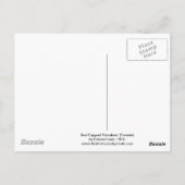 Carte Postale Parrakeet (femelle) à carreaux rouges par Edward L (Dos)