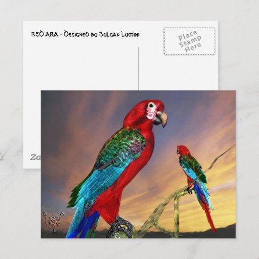 CARTE POSTALE PARROS HYPER / ARBE ROUGE (Devant / Derrière)