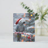 Carte Postale Parrot Holiday Card — Winter Wonder  (Debout devant)