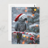 Carte Postale Parrot Holiday Card — Winter Wonder (Devant / Derrière)