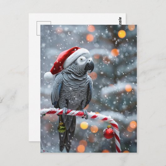 Carte Postale Parrot Holiday Card — Winter Wonder (Devant / Derrière)