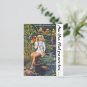 Carte Postale Parrot Jungle, Miami, Floride (Debout devant)