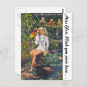 Carte Postale Parrot Jungle, Miami, Floride (Devant / Derrière)
