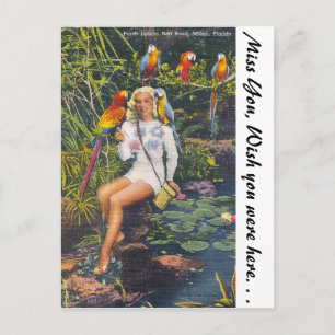 Carte Postale Parrot Jungle, Miami, Floride