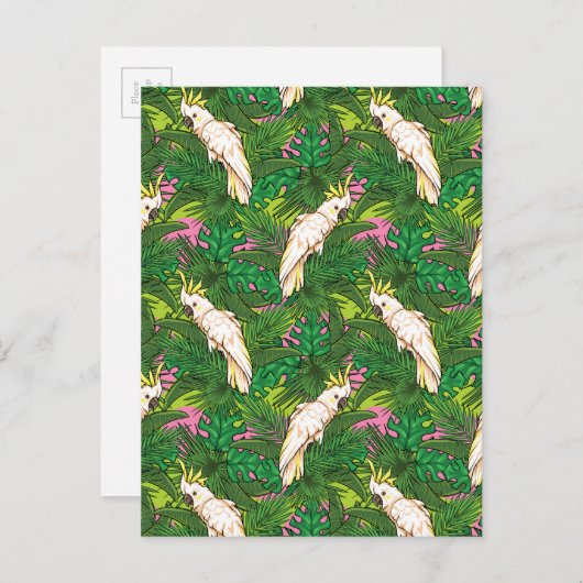 Carte Postale Parrot Pattern (Devant / Derrière)