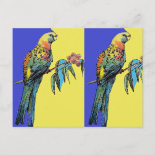 Carte Postale Parrot Rosella Aquarelle Peinture d'oiseau