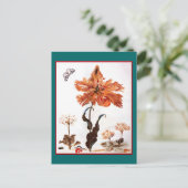 Carte postale Parrot Tulip (Debout devant)