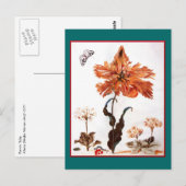 Carte postale Parrot Tulip (Devant / Derrière)