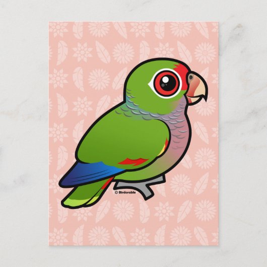 Carte Postale Parrot vinacé Birdorable (Devant)