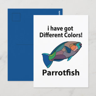 Carte Postale Parrotfish Funny