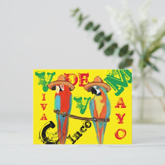 CARTE POSTALE PARROTS (Debout devant)