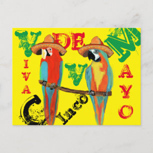 CARTE POSTALE PARROTS