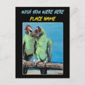 Carte Postale "Parrots de plage" Tableau sur un (Devant)