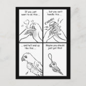 Carte Postale Parrots do bite (Devant)