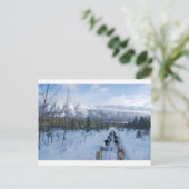 Carte Postale ParrotSleds - Paysage (Debout devant)