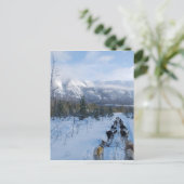 Carte Postale ParrotSleds - Paysage (Debout devant)