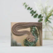 Carte Postale Pars, Yea ! (Debout devant)