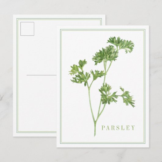 Carte postale PARSLEY FRAIS (Devant / Derrière)