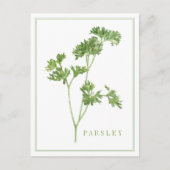 Carte postale PARSLEY FRAIS (Devant)