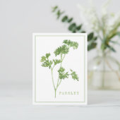Carte postale PARSLEY FRAIS (Debout devant)
