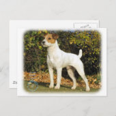 Carte Postale Parson Russell Terrier 9T016D-223 (Devant / Derrière)