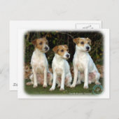 Carte Postale Parson Russell Terriers 9T016D-332 (Devant / Derrière)