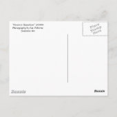 Carte postale "Parson's Chameleon" (Dos)