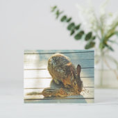 Carte Postale Partage Bunny et Chipmunk (Debout devant)