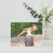 Carte postale Partage de semences (Debout devant)