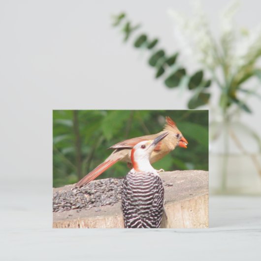 Carte postale Partage de semences (Debout devant)