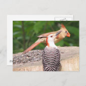 Carte postale Partage de semences (Devant / Derrière)