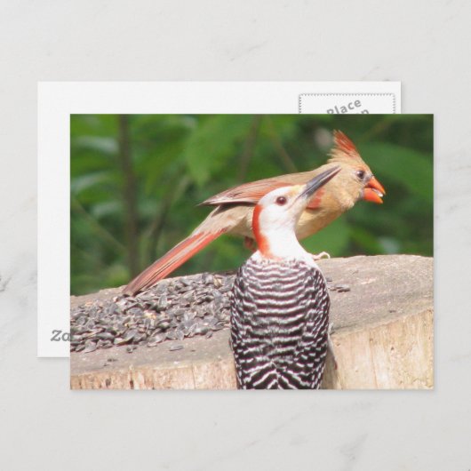 Carte postale Partage de semences (Devant / Derrière)