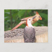 Carte postale Partage de semences (Devant)