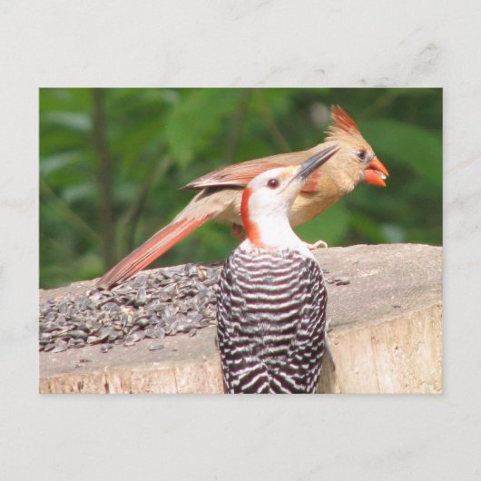 Carte postale Partage de semences (Devant)