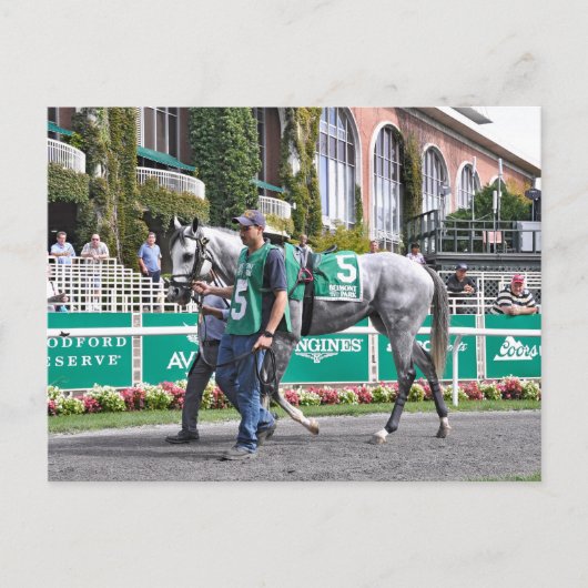 Carte Postale Partenaire Disco (Devant)