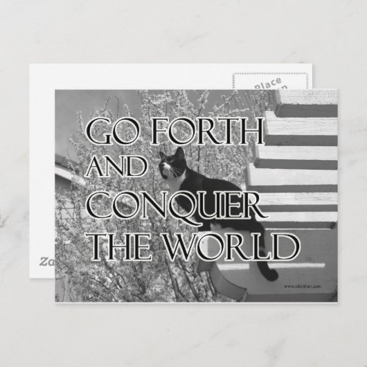 Carte Postale Partez en avant et conquérir le chat motivationnel (Devant / Derrière)