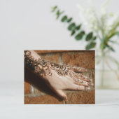 Carte Postale Parties scintillant et briques (Debout devant)