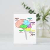 Carte Postale parties simples du cerveau japonais (Debout devant)