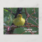 Carte Postale Paruline (Devant)