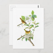 Carte Postale Paruline à poitrine jaune John Audubon Birds Améri (Devant / Derrière)